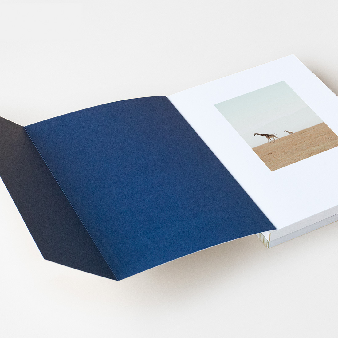 Double sided, panoramic cover designs.