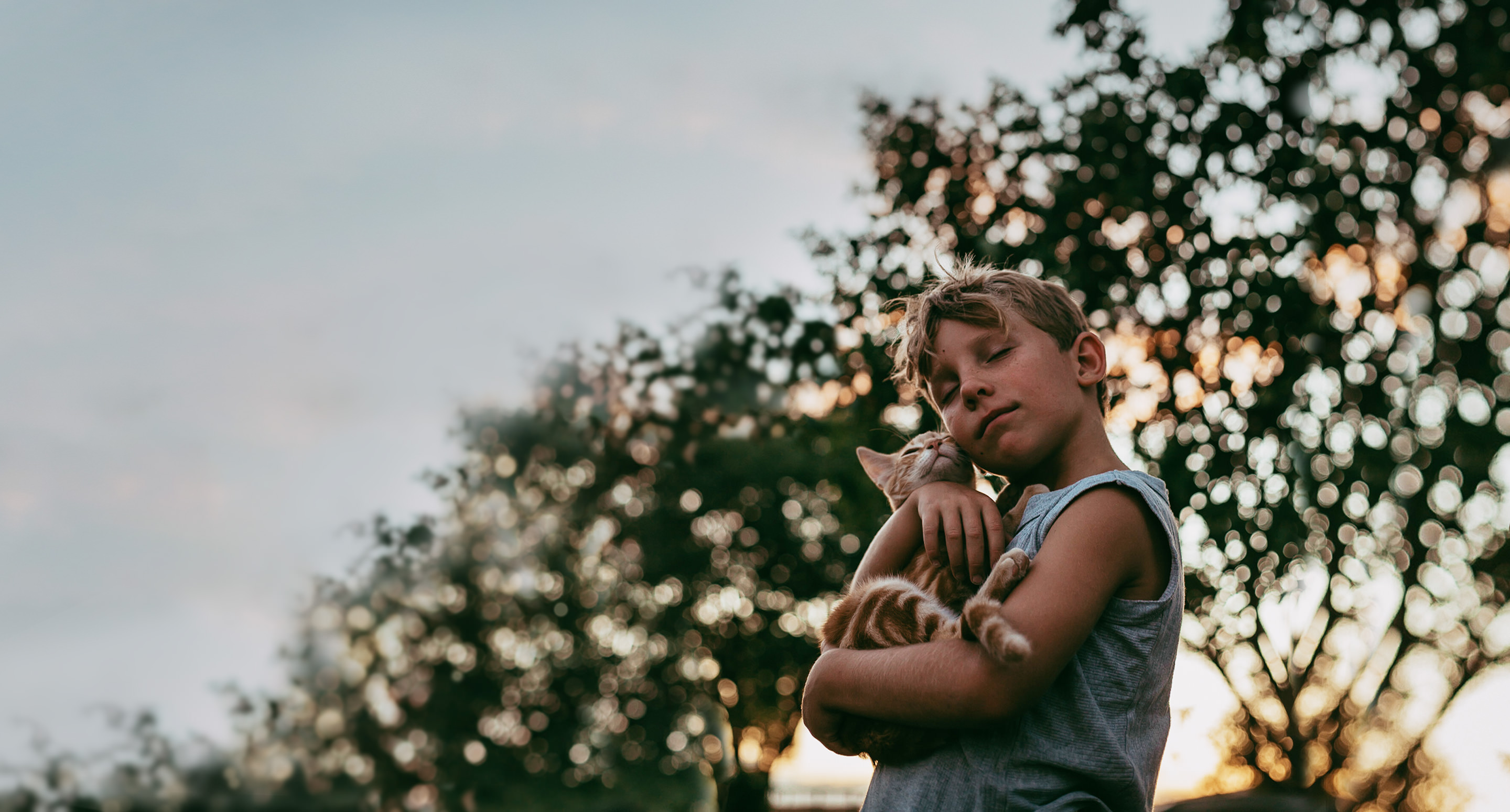 Kleiner Junge hält orangefarbenes Kätzchen vor einem Baum bei Sonnenuntergang auf einem Bauernhof