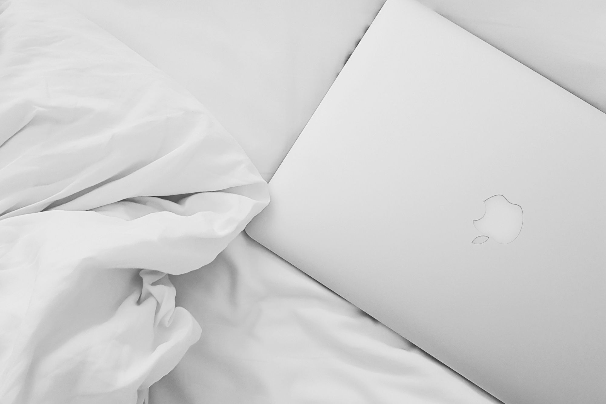 Mac laying on a bed in white sheets