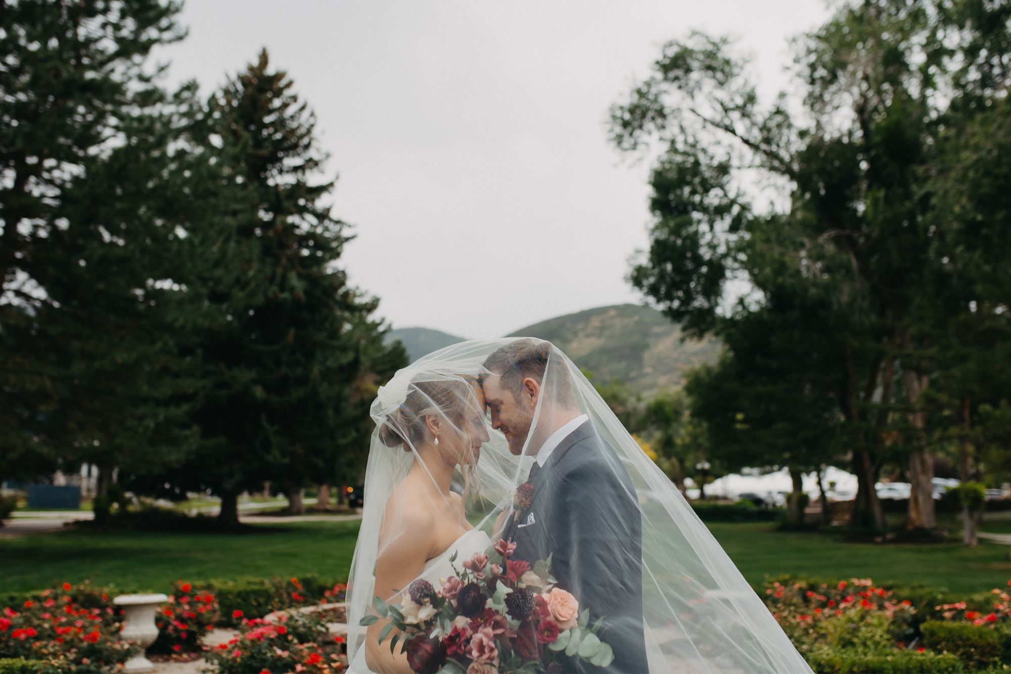 Couple under vale with rose garden background