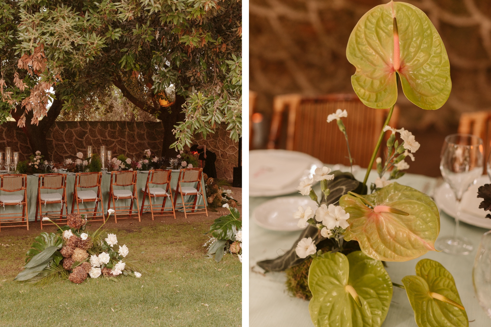 Long wedding reception table with brown and green accents under shade of a large tree and waxy plant centerpieces.
