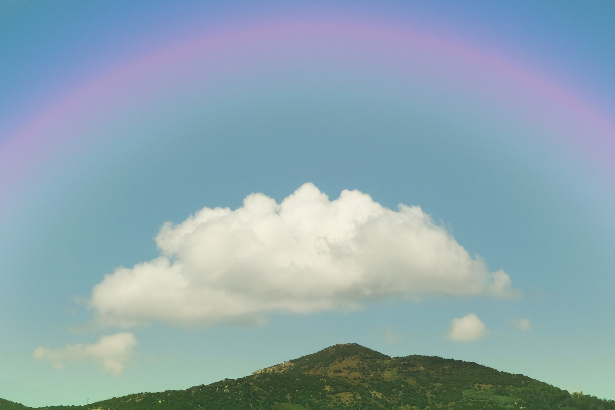 Mountain lined with trees under blue sky and large cloud.