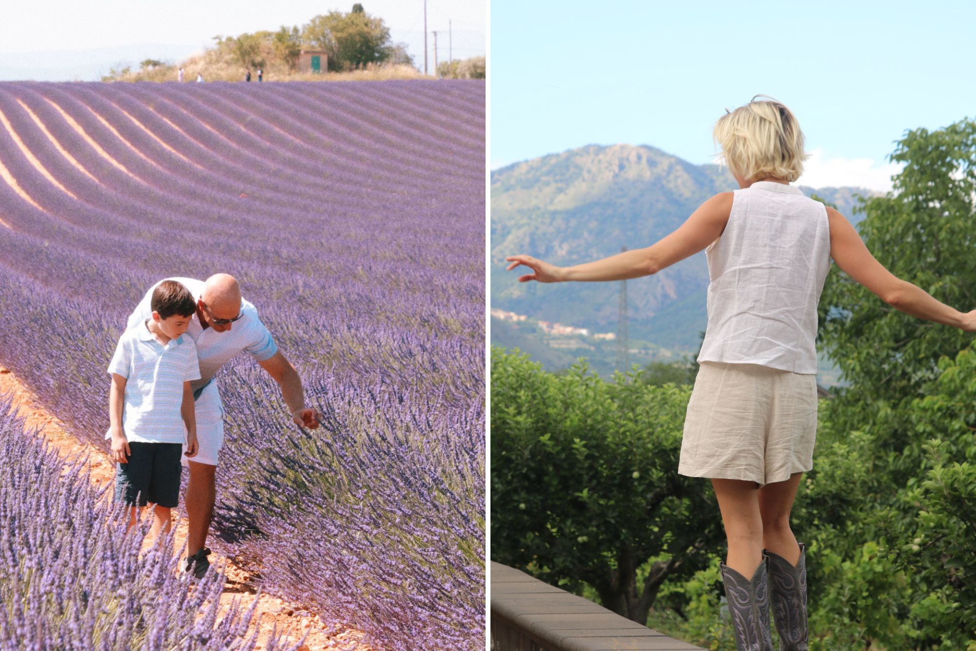 Father and sun walking through lavender field picking flowers.