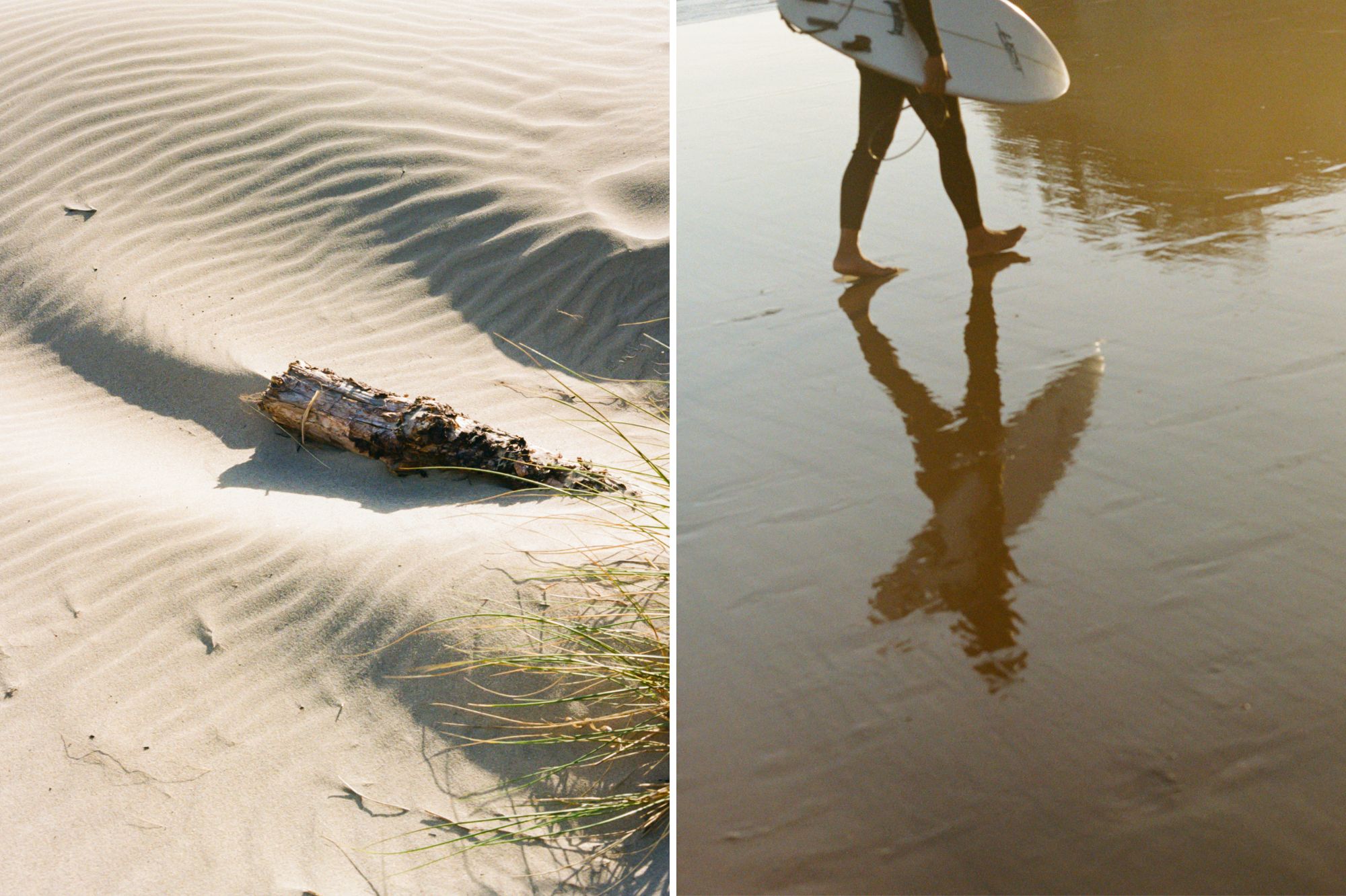 Driftwood sticks out of soft sand in beach with glaring sun.