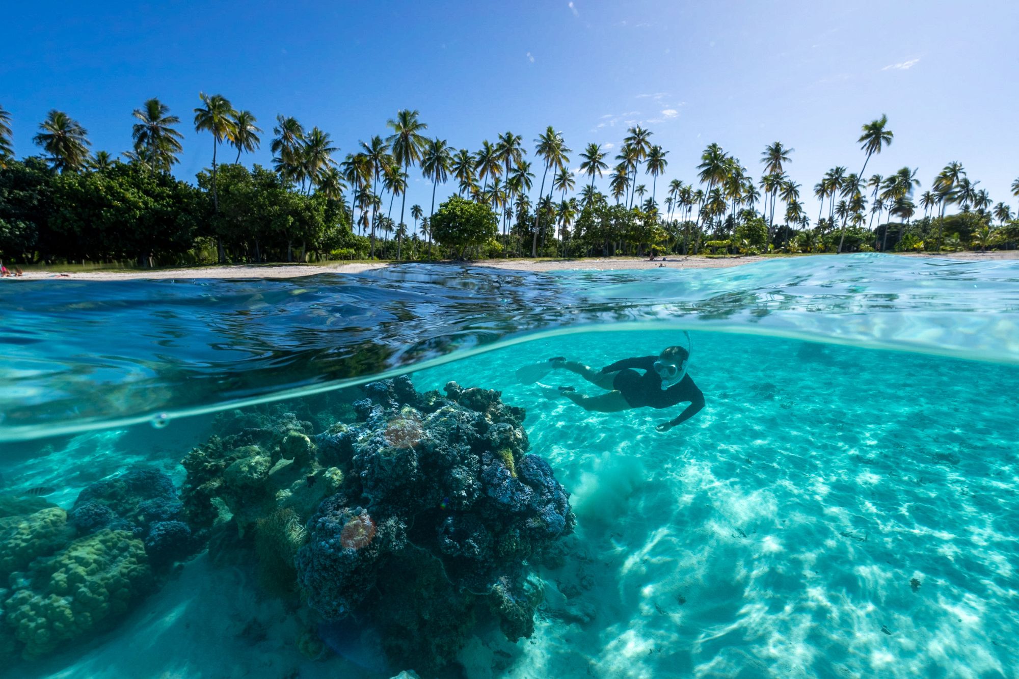 Photo of clear turquoise water with palm trees lining shore under bright sunlight in Bali.