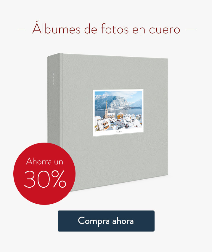 https://cdn.milkbooks.com/media/32377/christmascomesearlyoct25-es-producttiles-lpa.jpg
