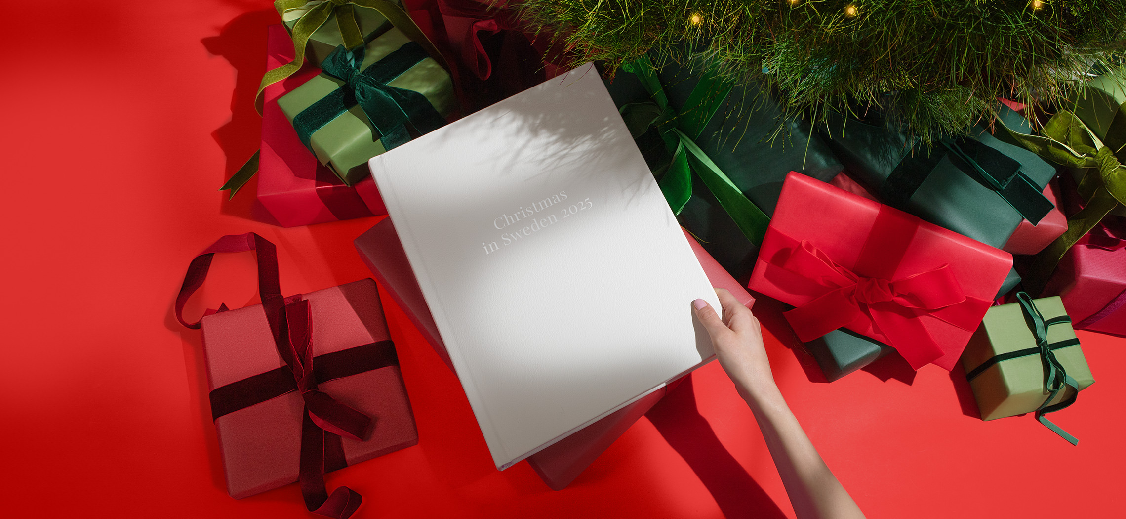 https://cdn.milkbooks.com/media/32455/chirstmasshipping-main-2025.jpg