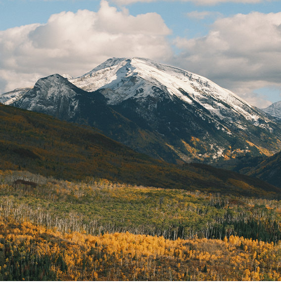 Photos of mountains in Colorado with yellow flowered lush green hills.