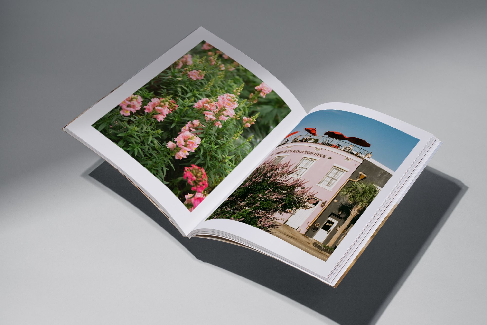 Open photo book with floral and architecture photography
