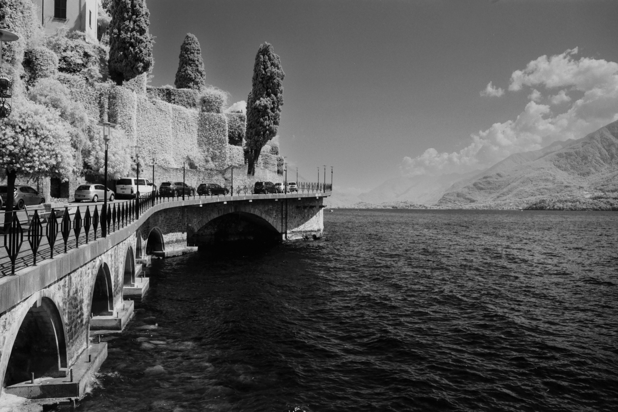 Docks in Italy next to a road lined with well-trimmed, tall shrubs.