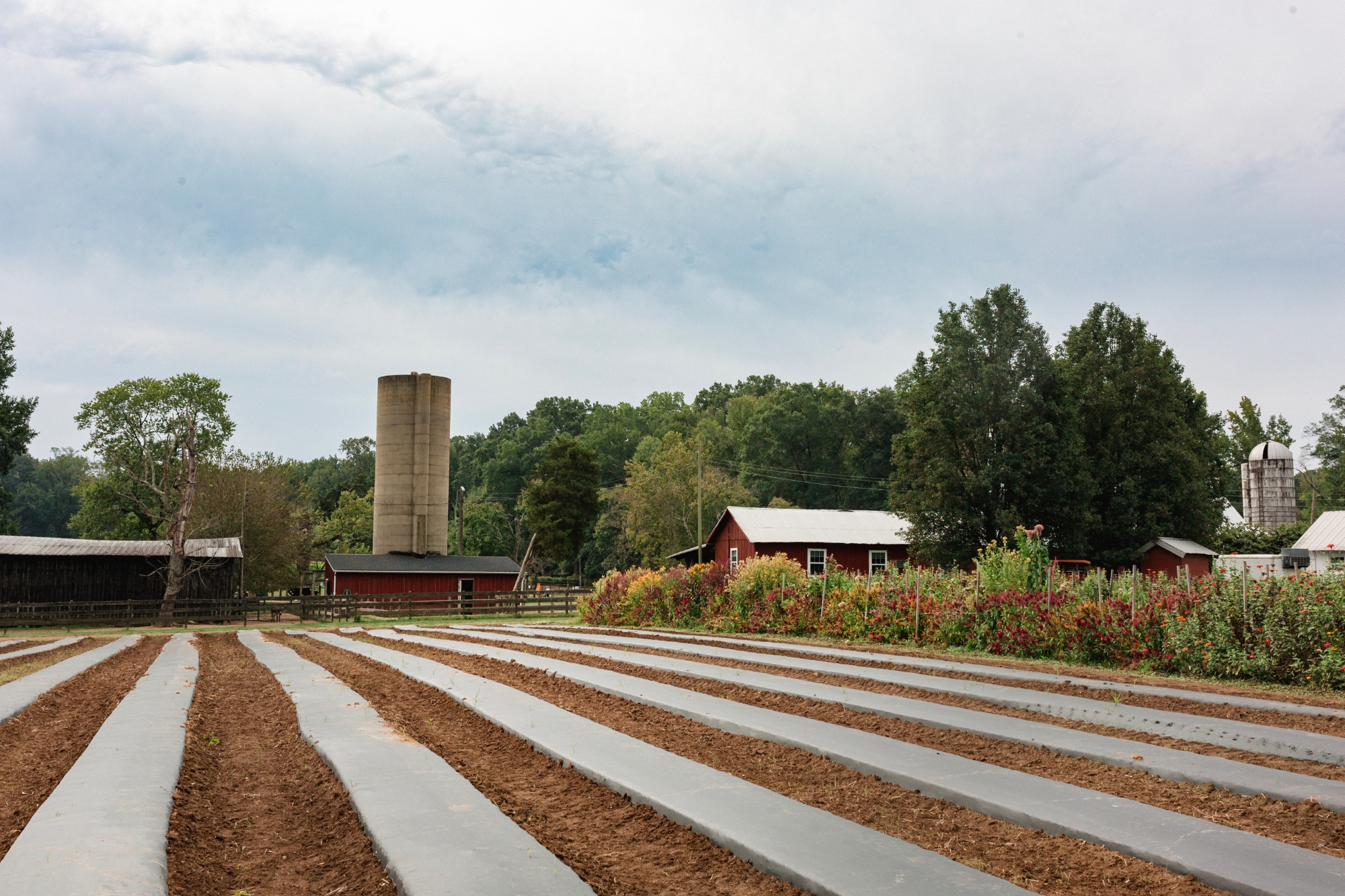 Freshly tilled field for farming with mill and shed on outskirts of fencing.