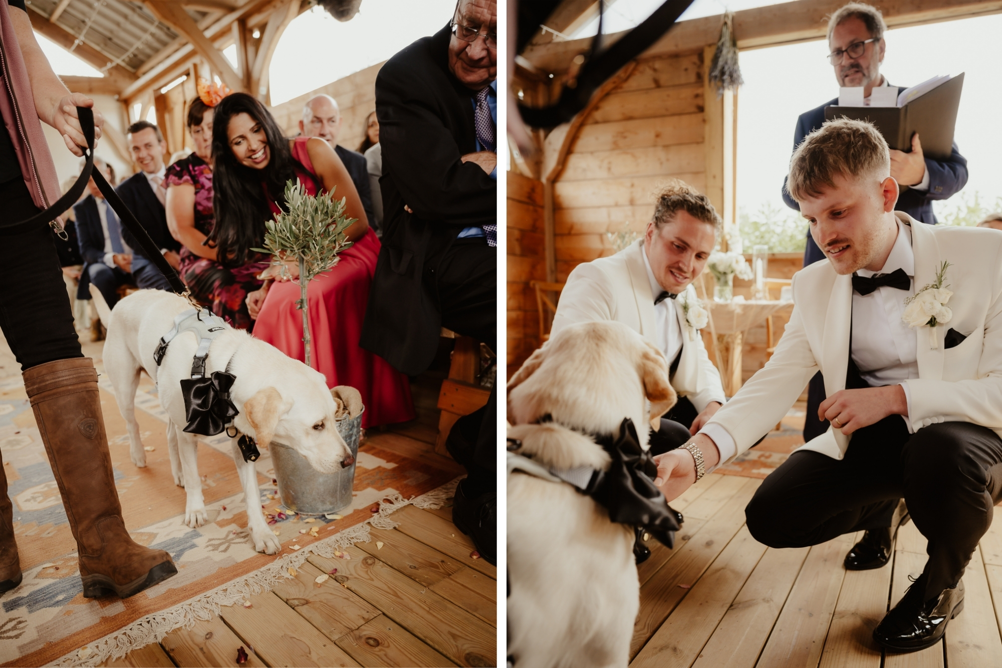 Labrador dog with black bow tie walks up the aisle to meet the grooms.