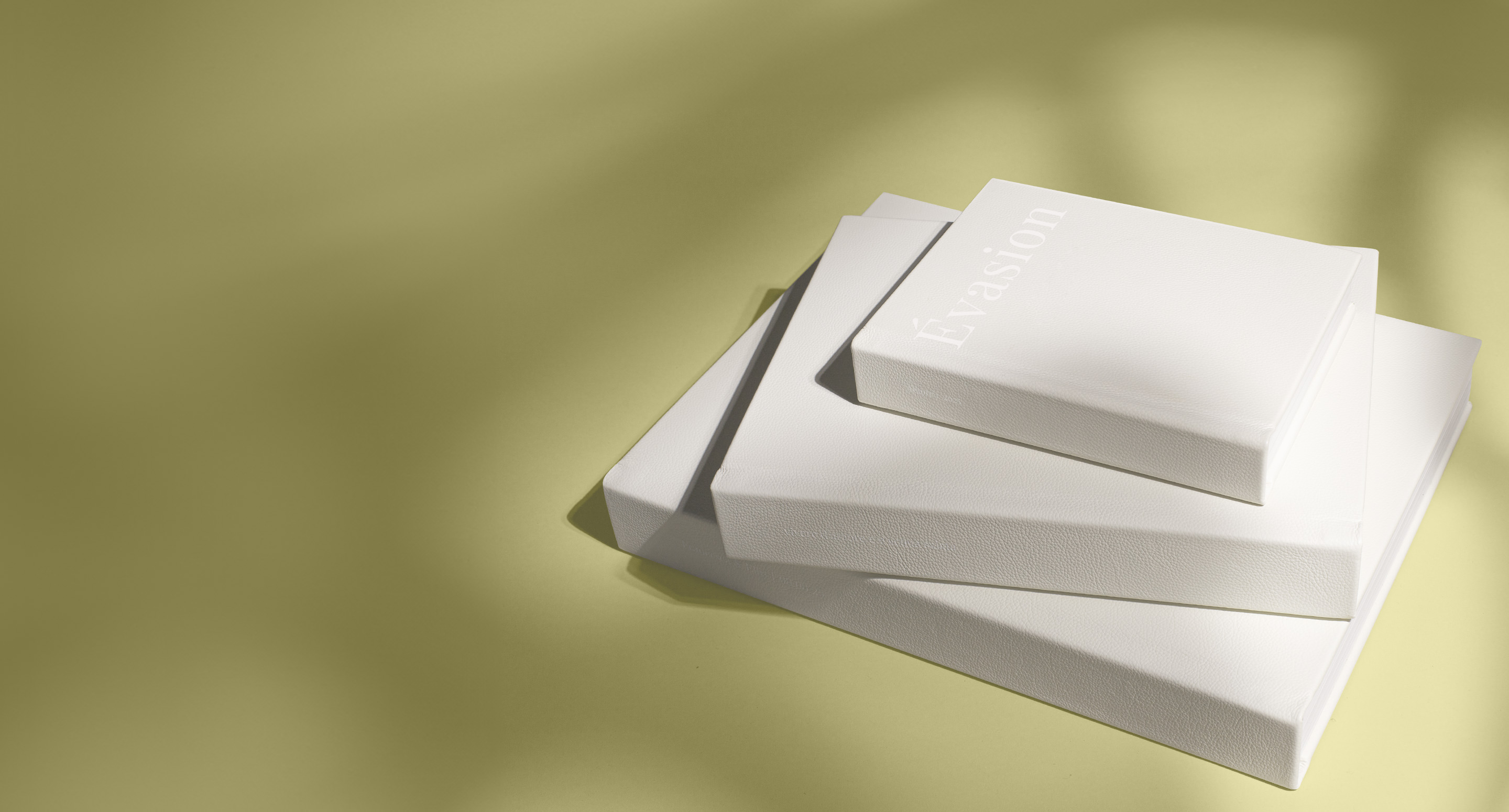 Album photo ouvert en portrait sur une boîte de présentation.