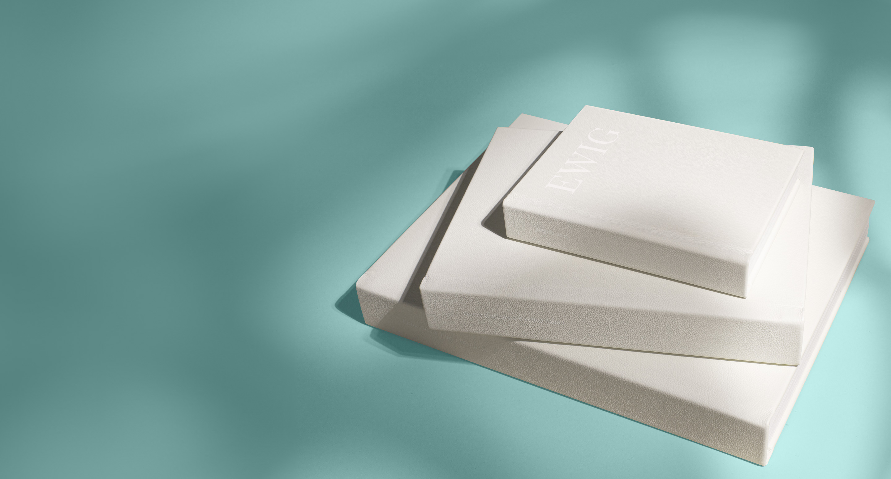 Offenes Porträt-Fotoalbum oben auf der Präsentationsbox.