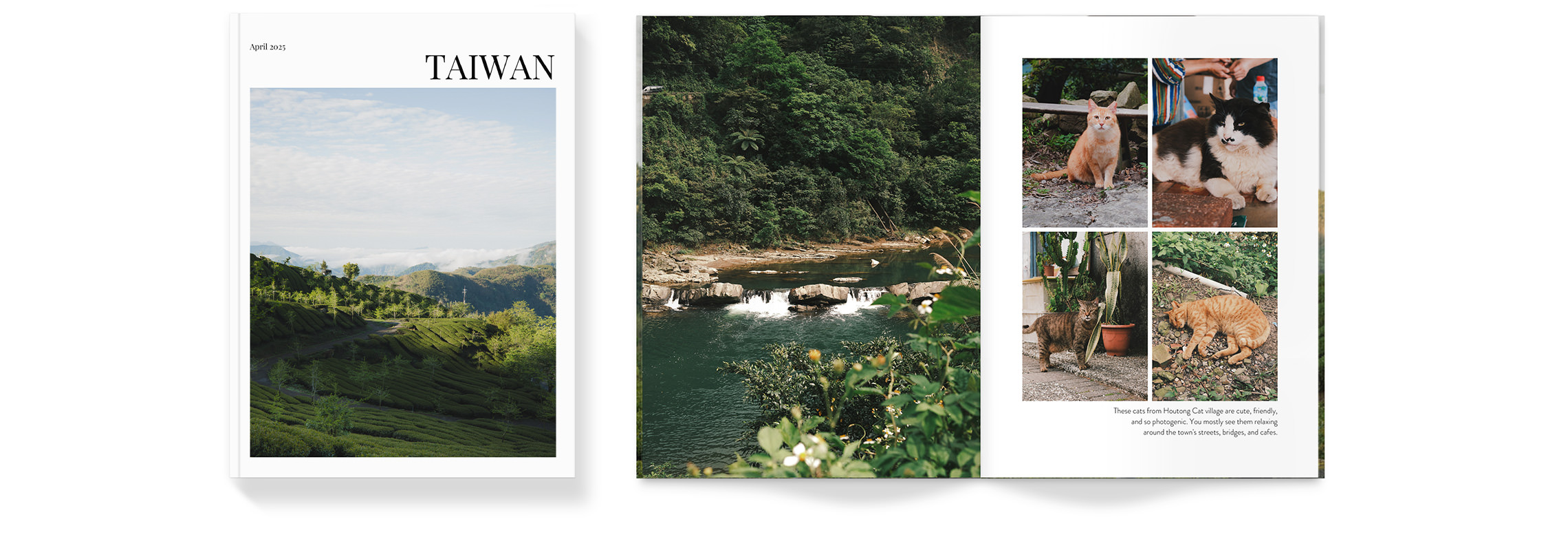 Open Travel Magazine with photos of nature in Taiwan and cats laying in a garden.