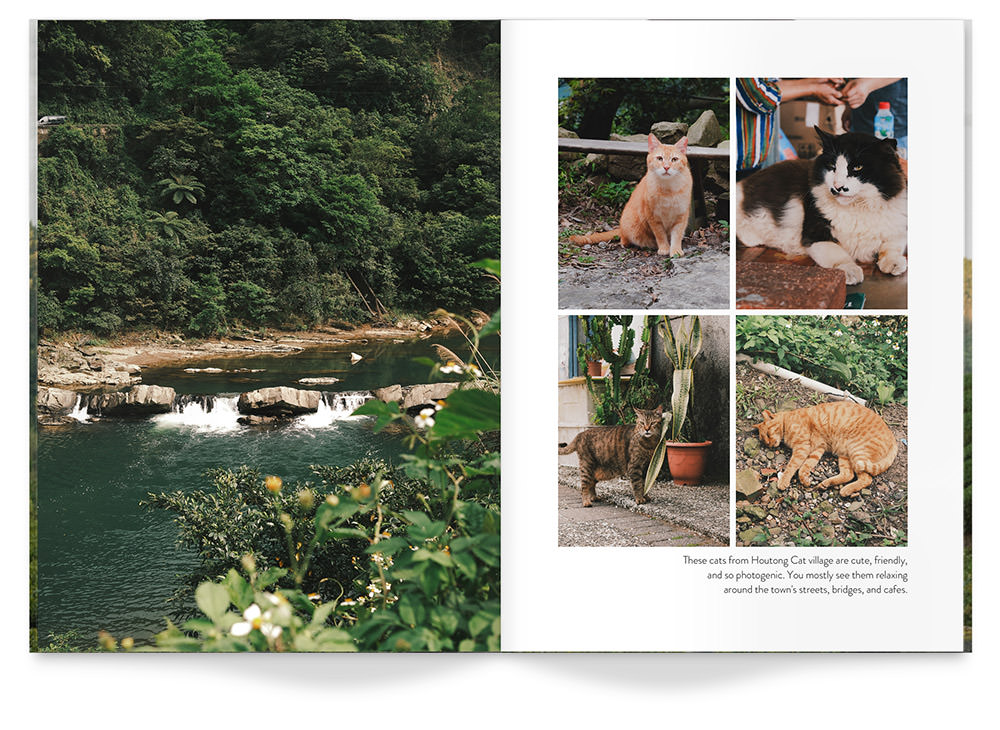 Open Travel Magazine with photos of nature in Taiwan and cats laying in a garden.