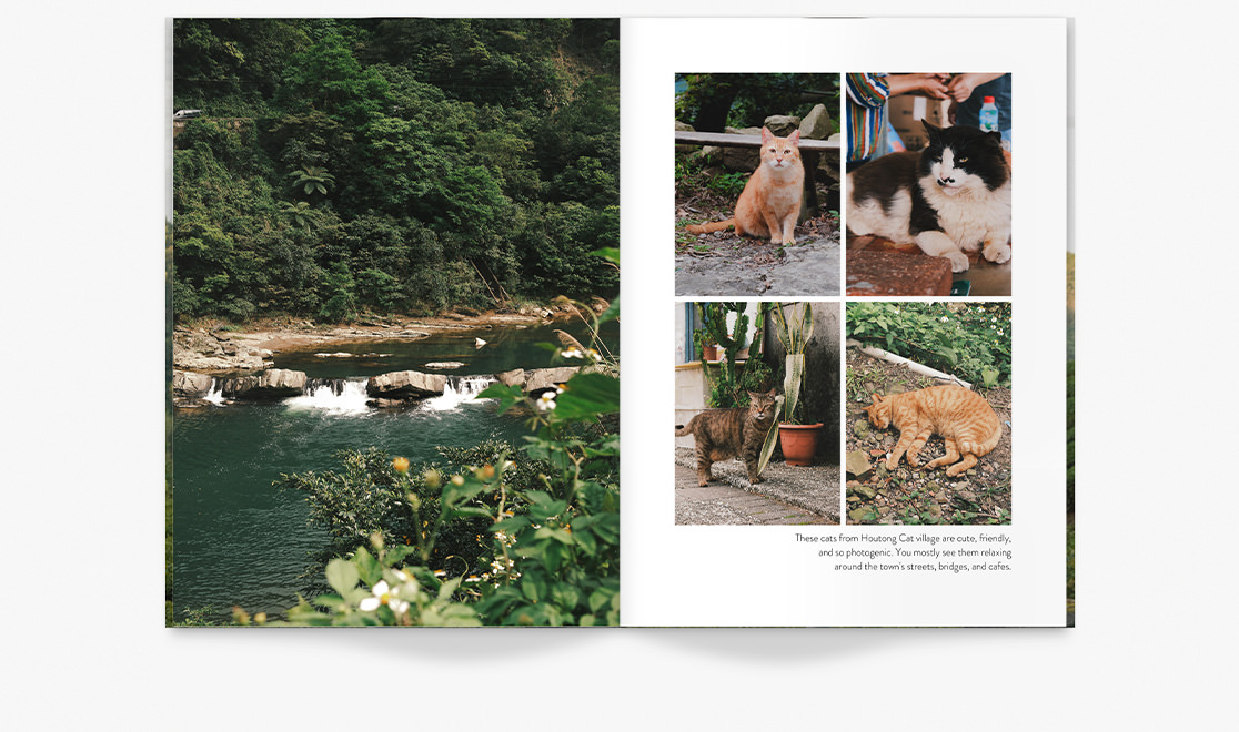 Open Travel Magazine with photos of nature in Taiwan and cats laying in a garden.