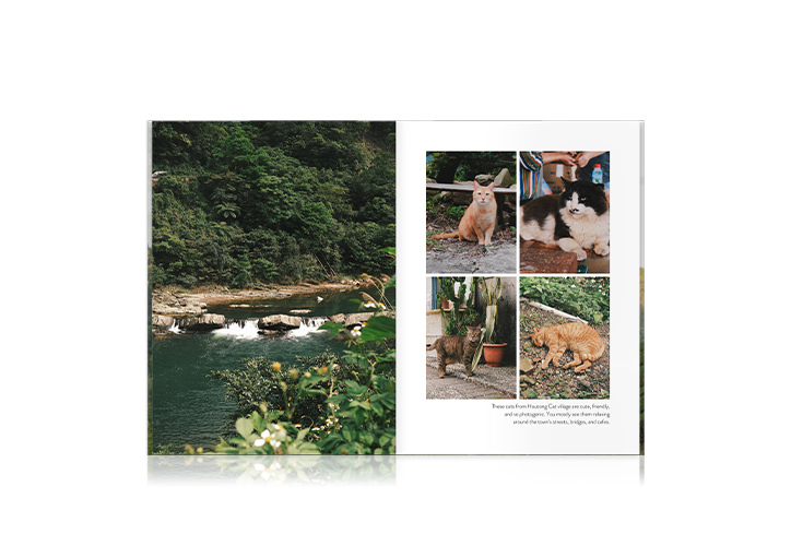 Open book of Taiwan book