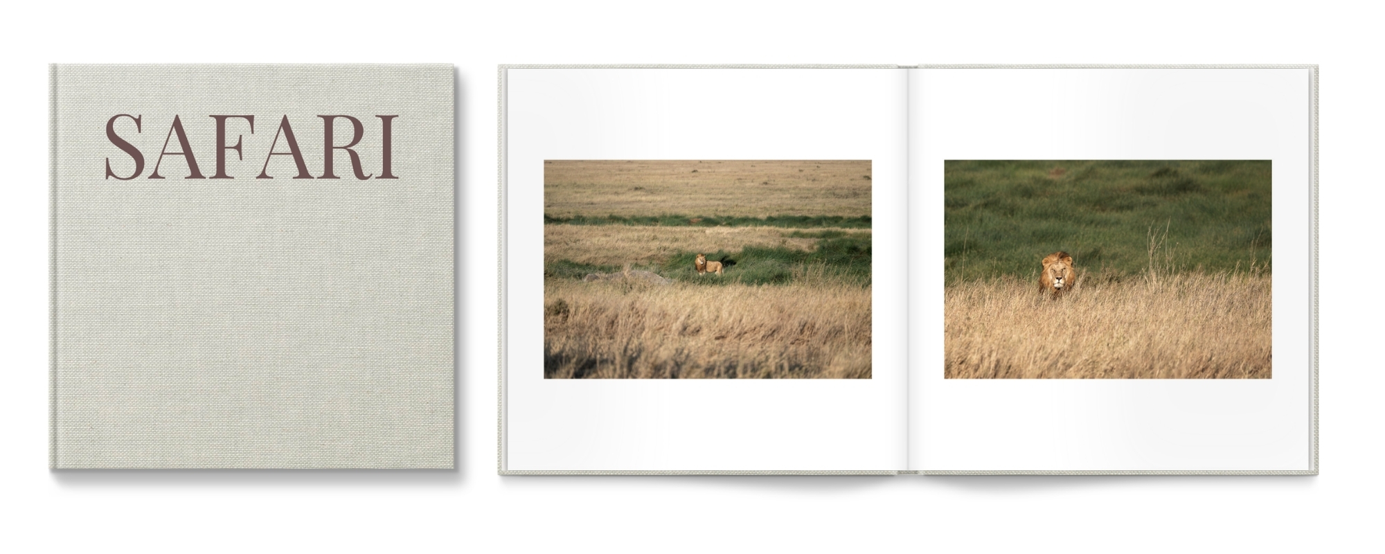 Safari Coated Cloth Cover