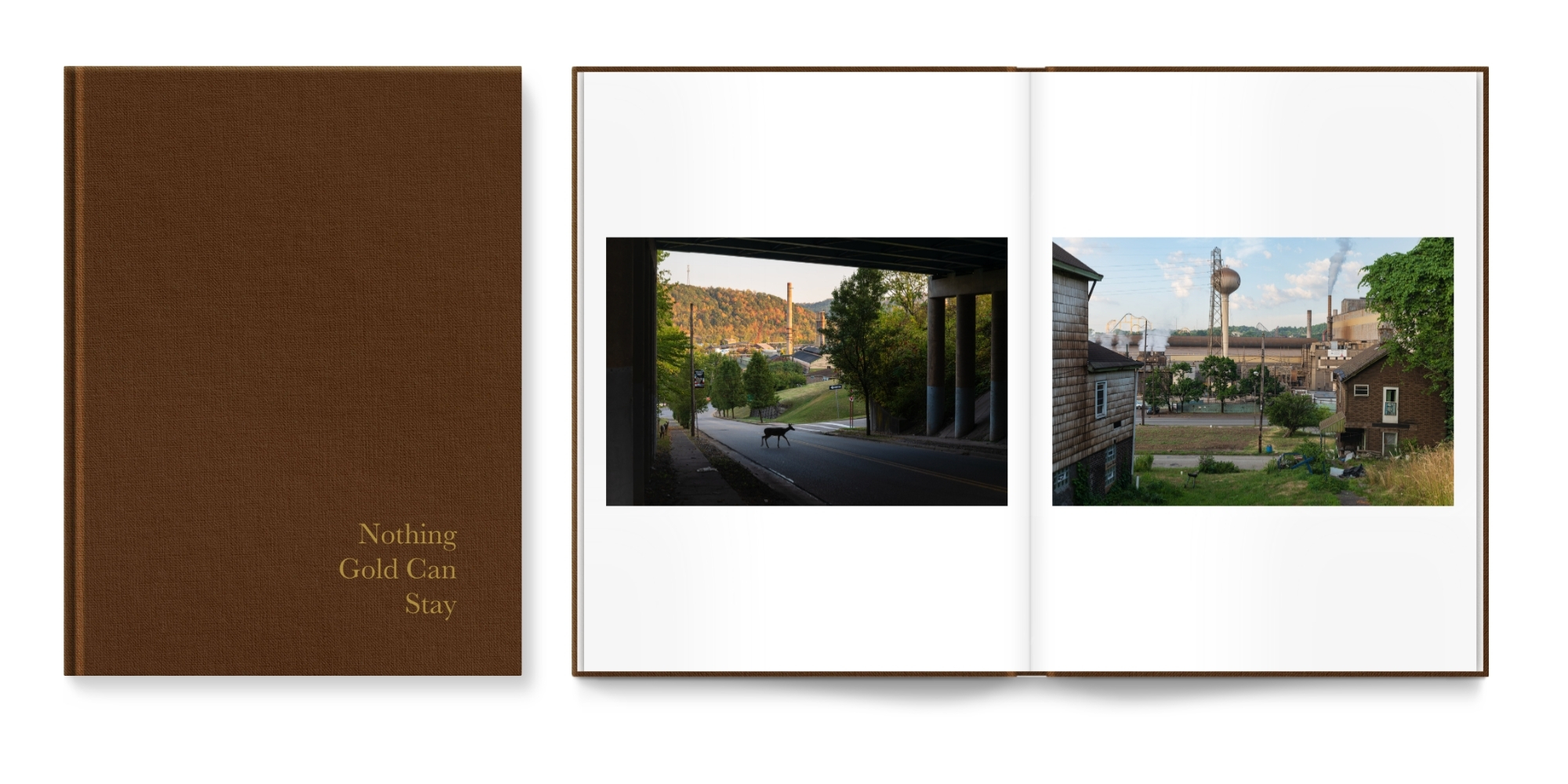 Brown Photo Book with gold text