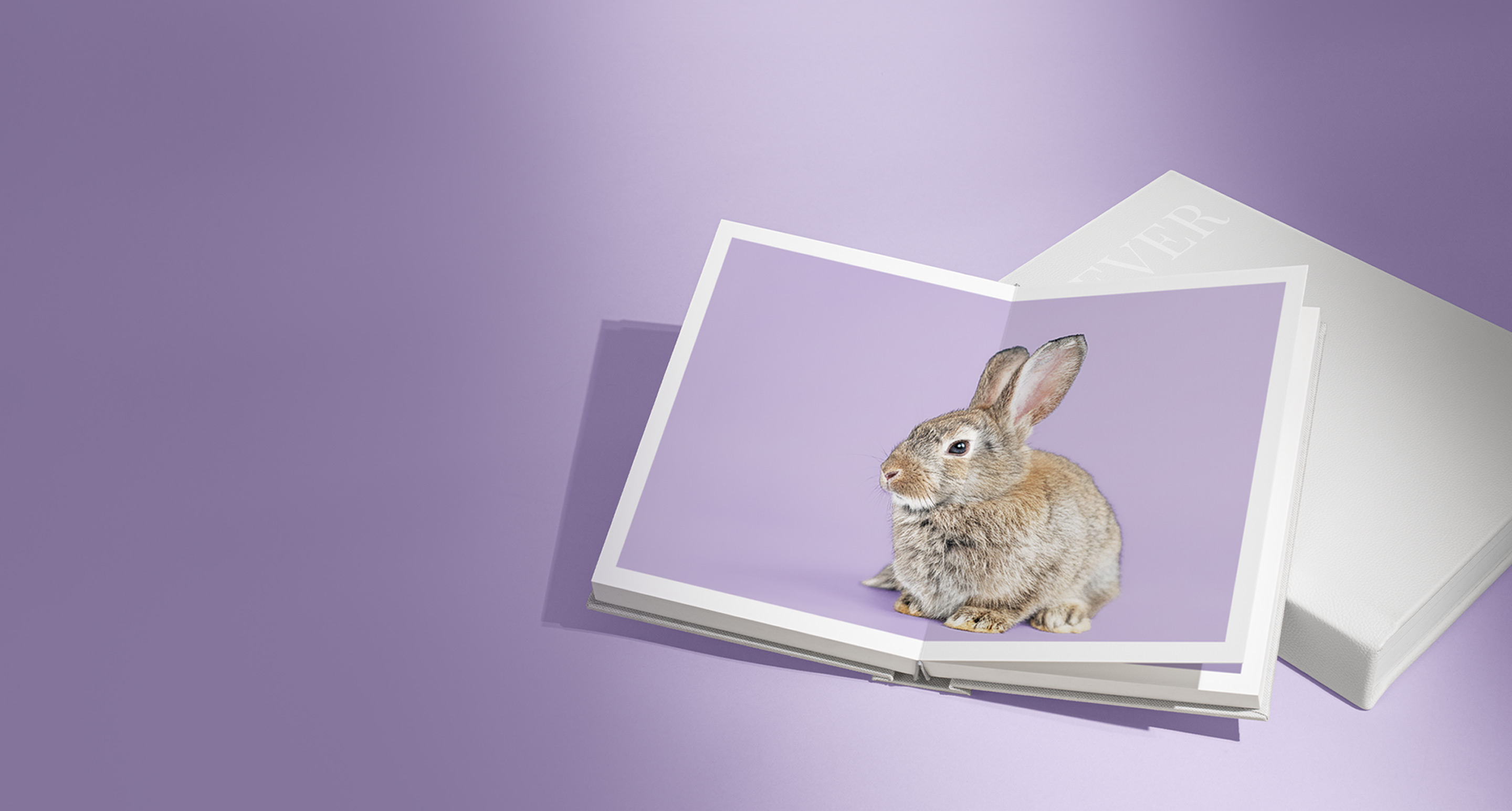 White Portrait Premium Photo Album open to show a rabbit on a purple background.