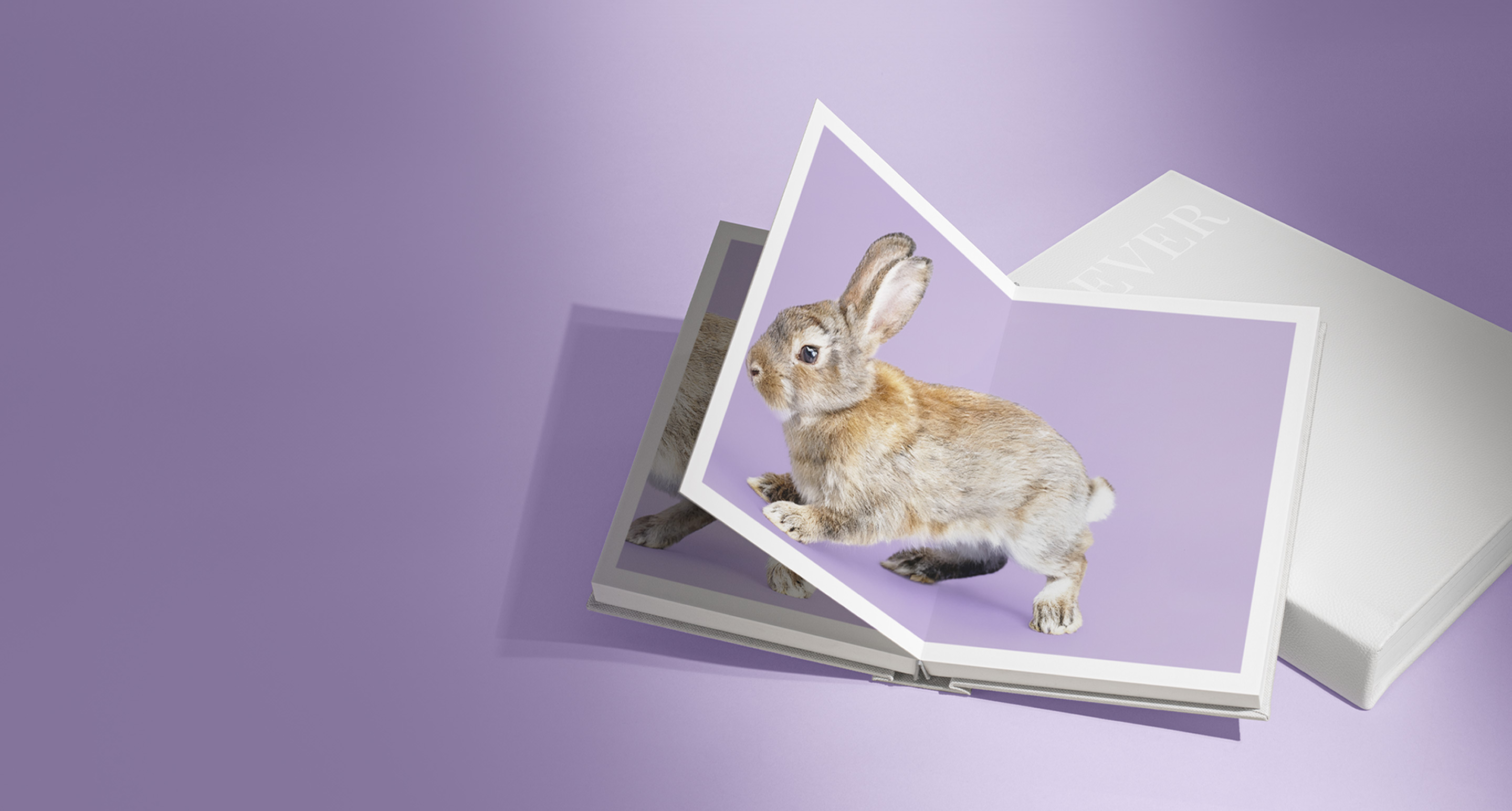 White Portrait Premium Photo Album open to show a rabbit on a purple background.
