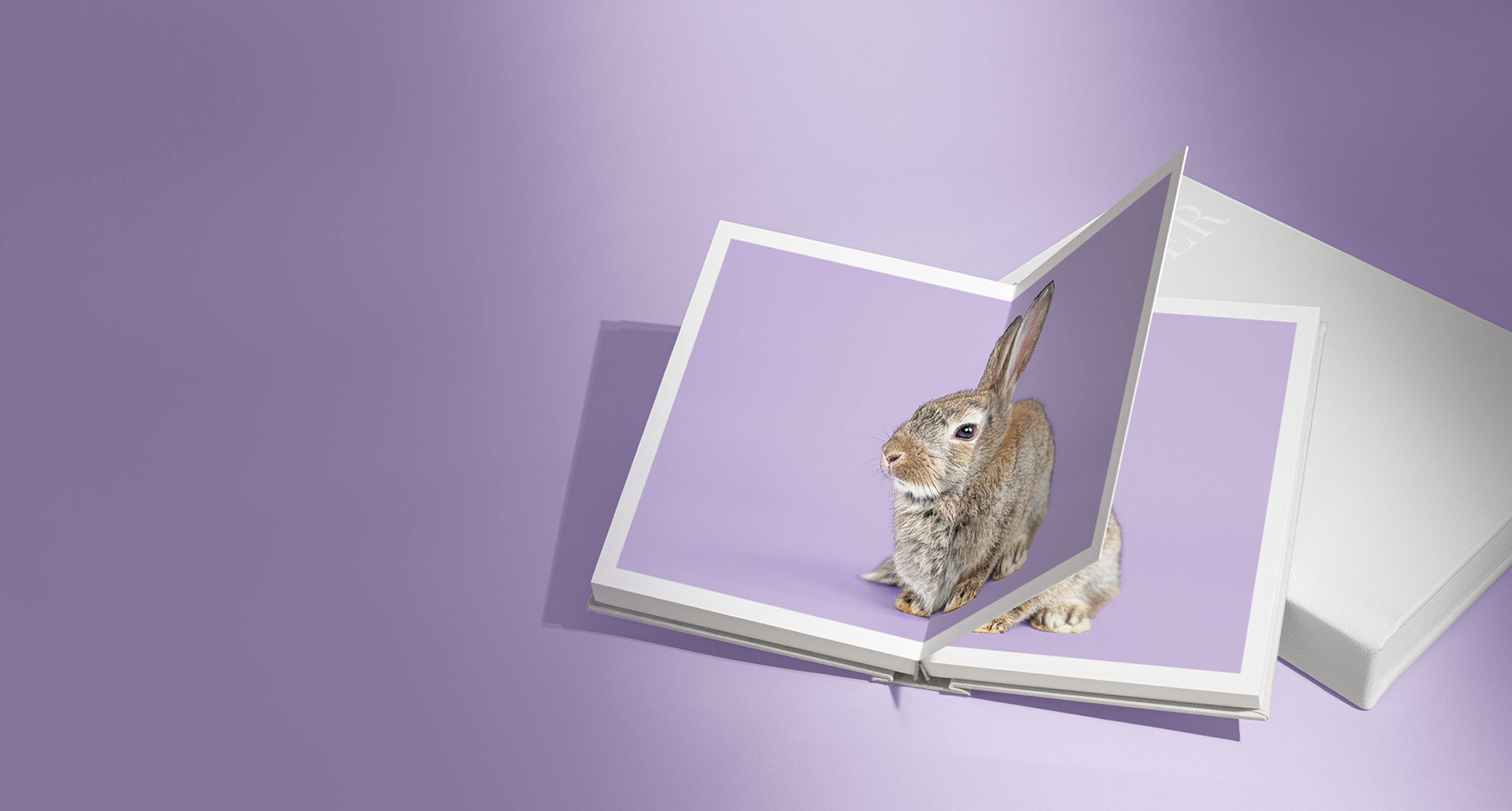 White Portrait Premium Photo Album open to show a rabbit on a purple background.