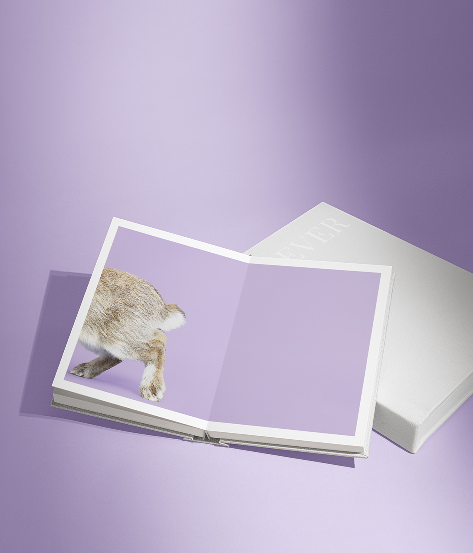 Album Photo De Qualité Relié - Neuf, Sans Marque, Pour Vos Souvenirs