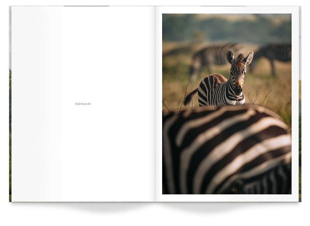 Open Travel Magazine with photos of African savannah featuring elephants and zebras inside pages.