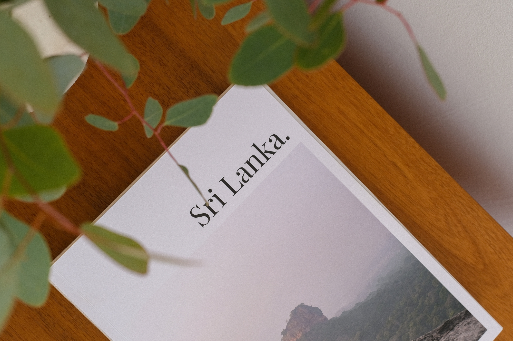 Travel magazine titled "Sri Lanka" on a wooden coffee table with a plant.