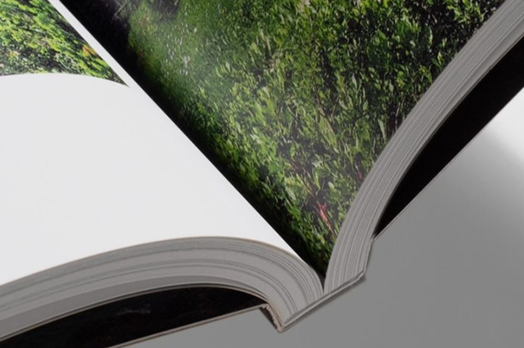 Close up of magazine to show PUR binding.