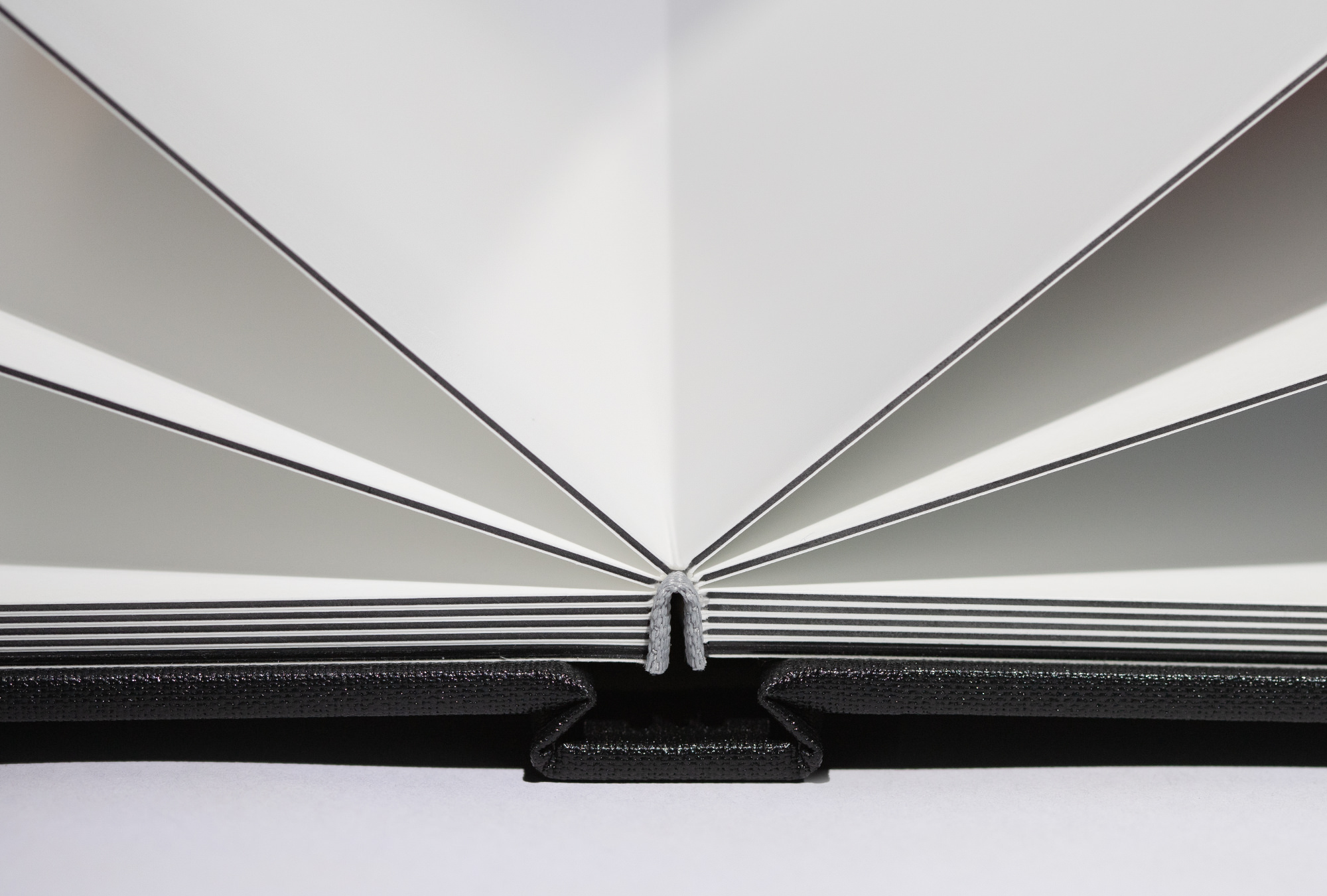 Open black card photo album