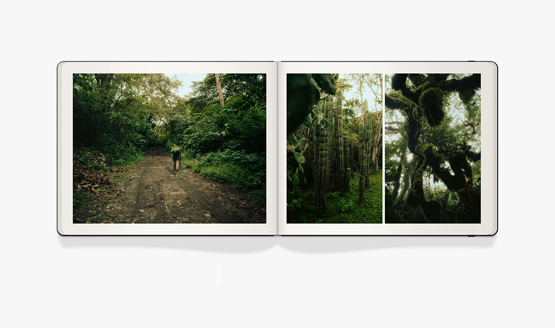 Nicaragua, El Salvador, Argentina & More book opened image
