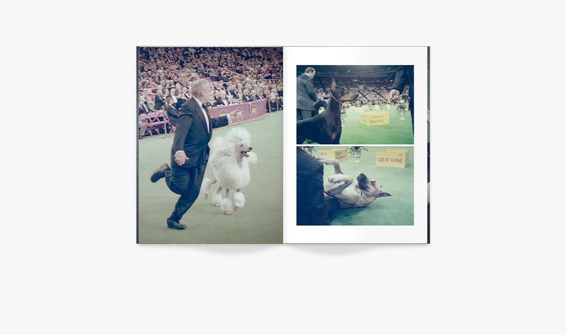 Mini magazine with photos from dog show