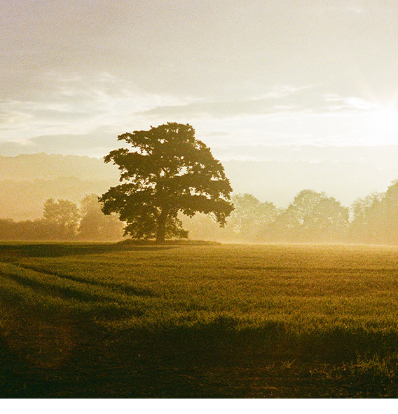 2025 on film photo book