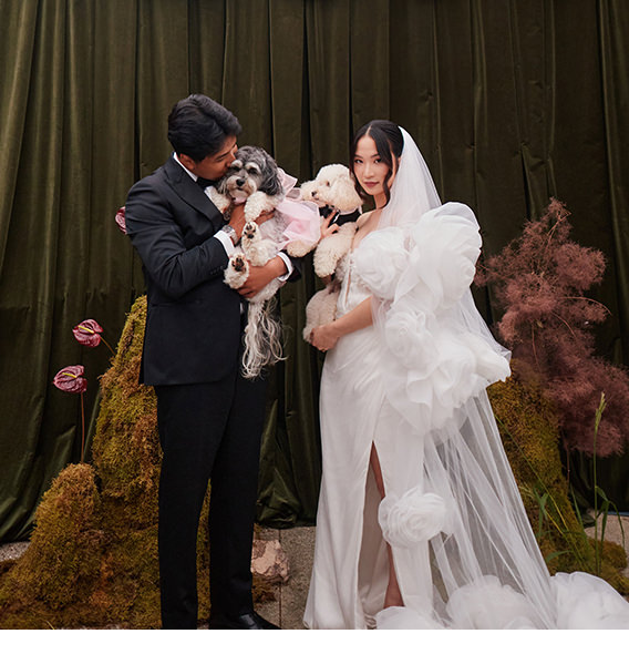 The Wedding album