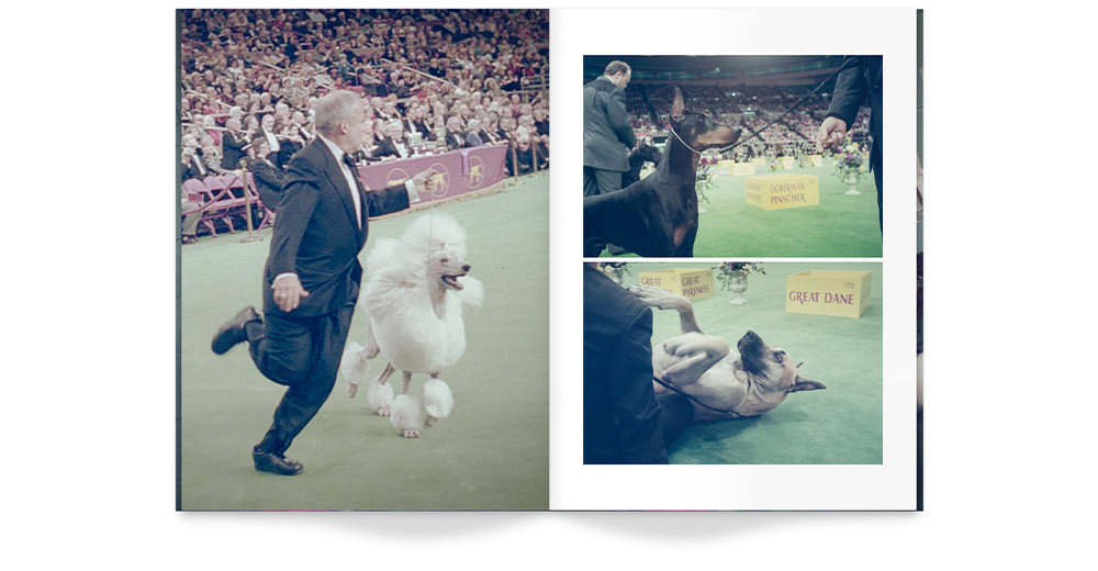 Dogland Photo book opened
