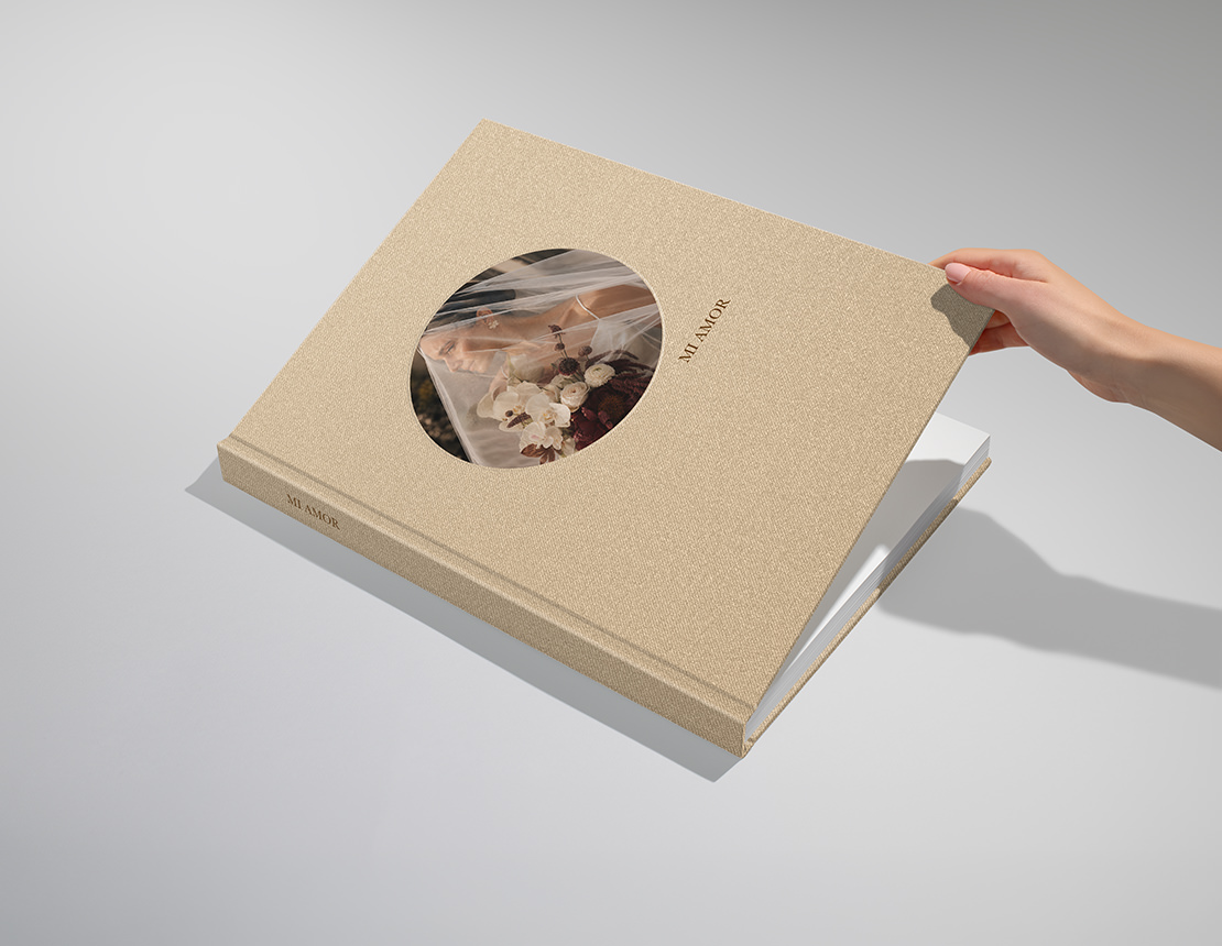 https://cdn.milkbooks.com/media/36999/shopall-hover-premiumpb-xppb.jpg