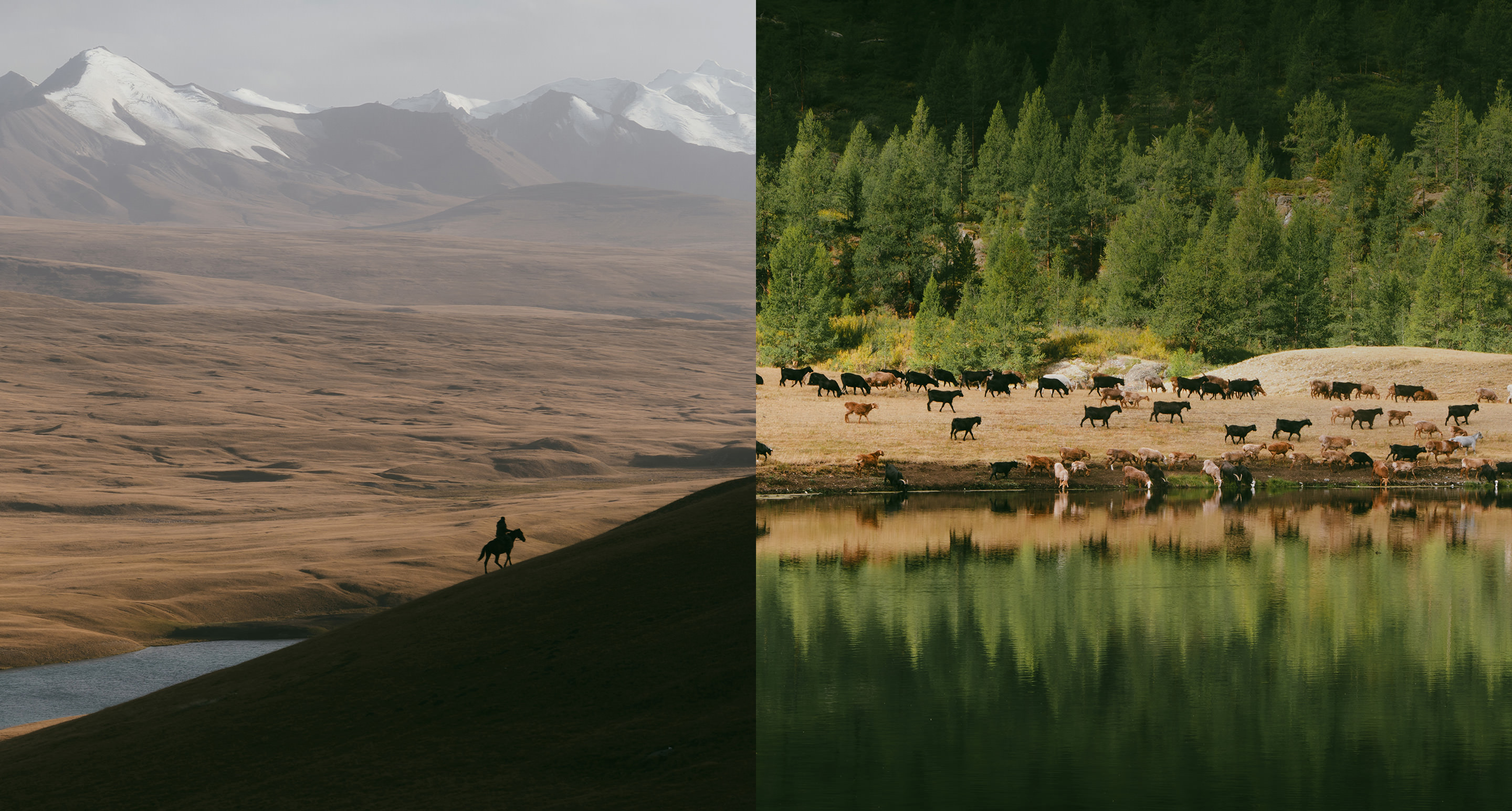 Travel week gif of houses by a river