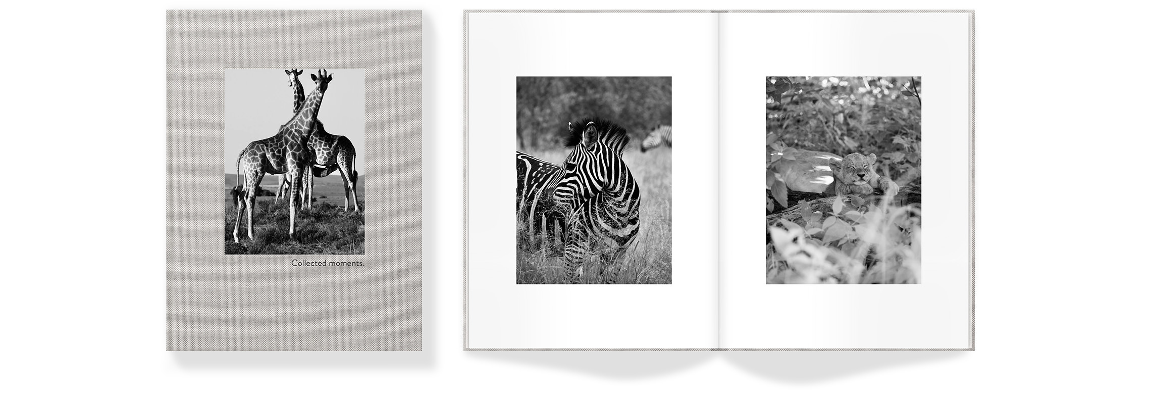 Afrika book - Sep Runner up