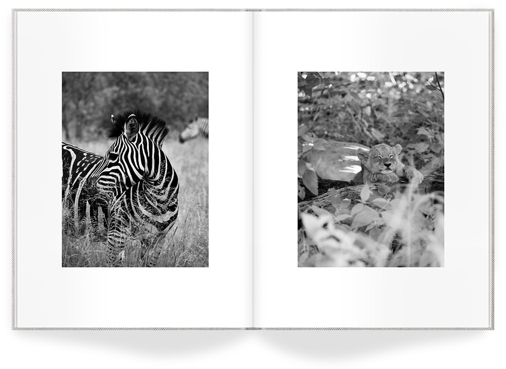 Afrika Book - Sep runners up